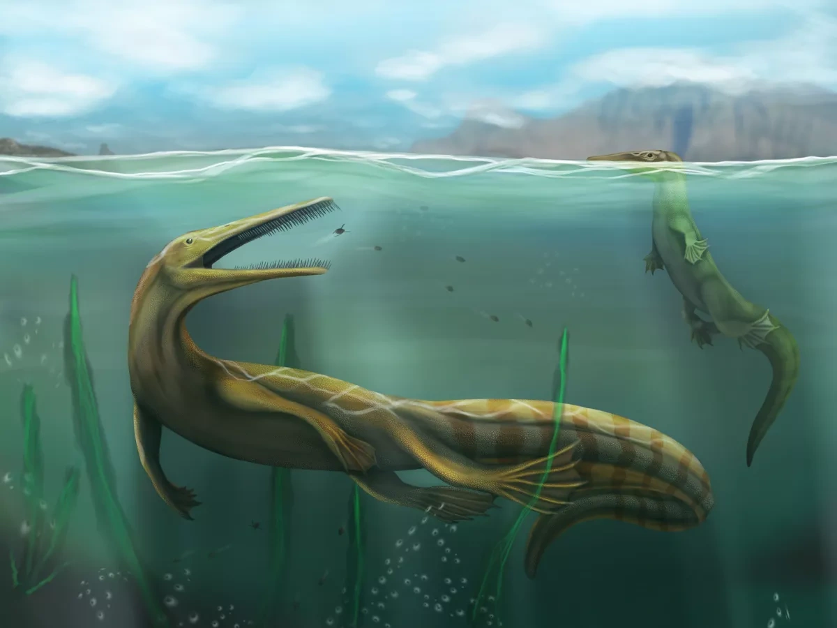 Uruguay unveils giant dinosaur species dating back 80 million years