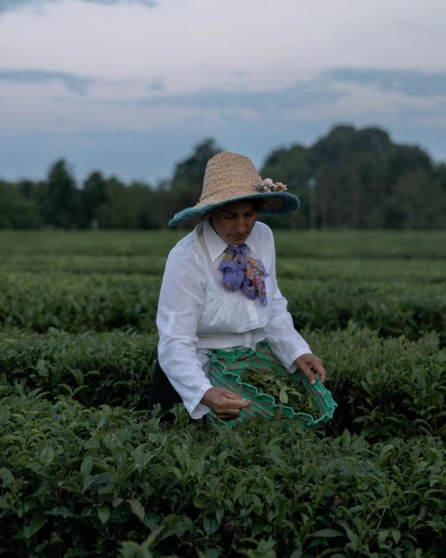 Leyla Aliyeva visits "Yashil Chay" farm in Lankaran (PHOTO)
