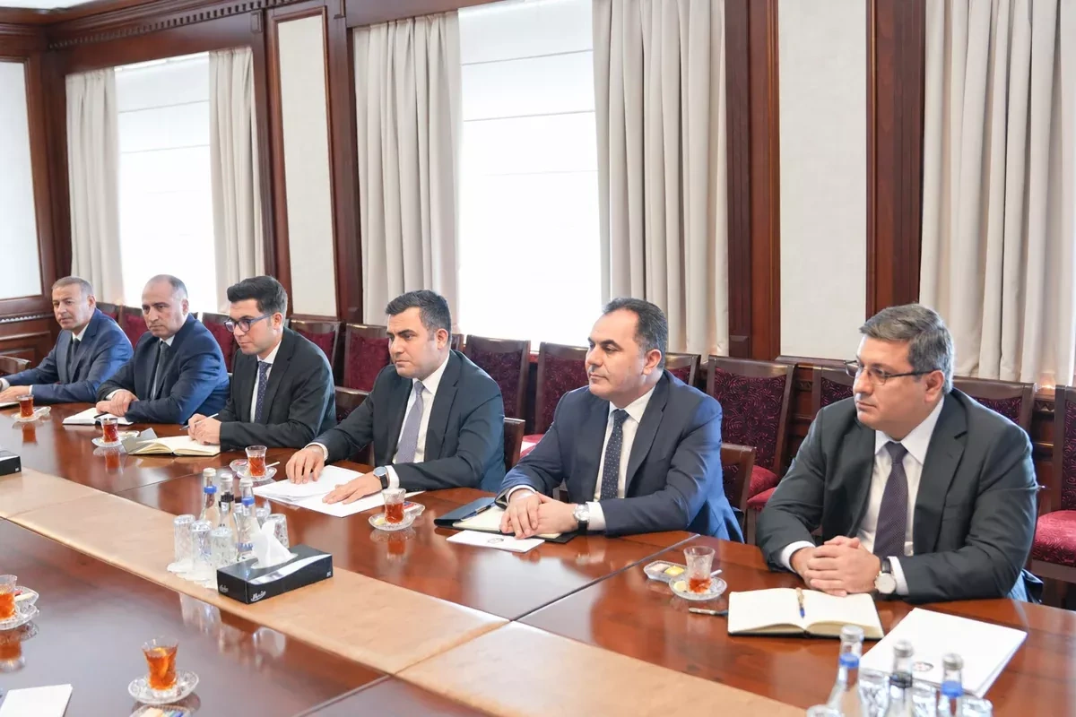 Azerbaijan, European Commission discuss future projects in Nakhchivan PHOTO
