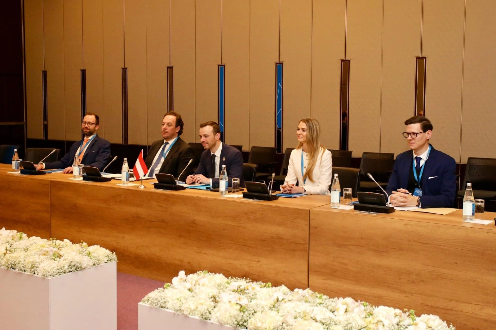 Azerbaijan, Austria explore new frontiers for energy sector co-op (PHOTO)