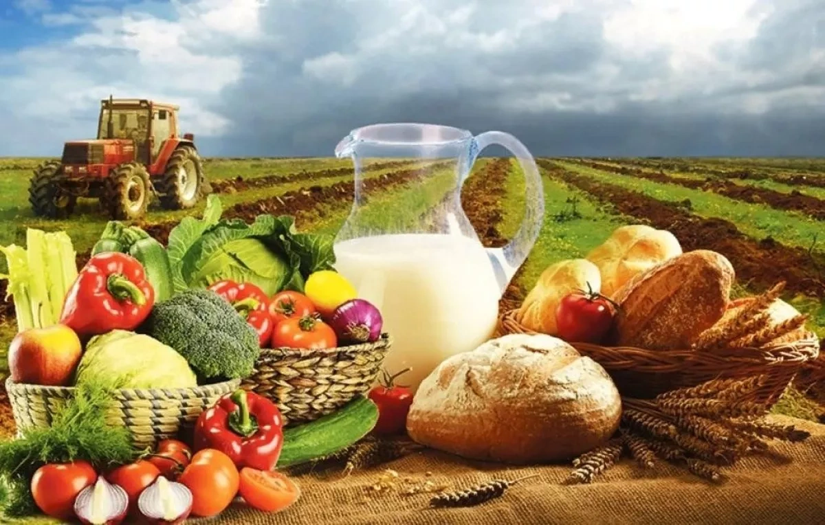 AI for Azerbaijan’s agriculture: transforming farms with data Overview by Khazar Akhundov