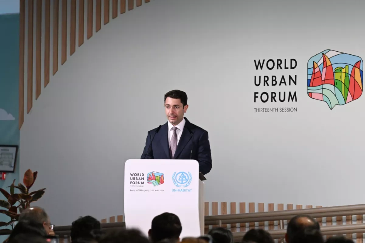 Baku hosts high-level forum on clean air, green cities at WUF13 PHOTO