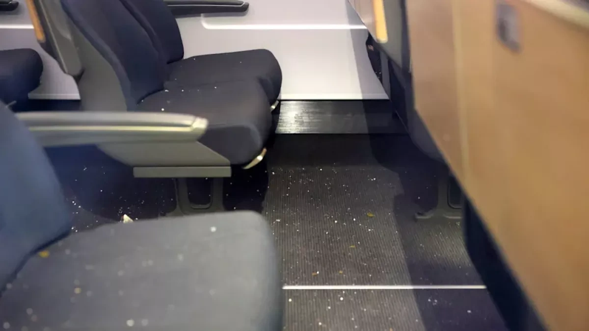 Masked man arrested after explosion, threats on high-speed train in Germany Photo