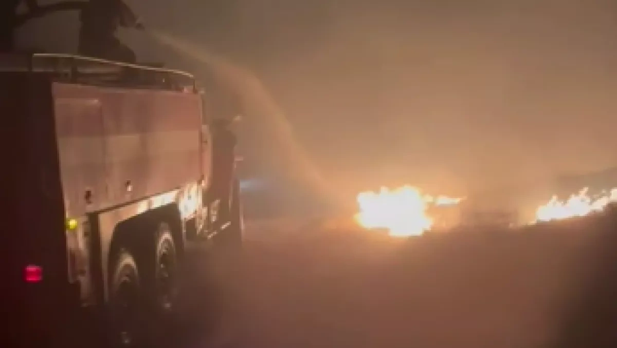 Fire spreads to Tarbagatai national park in Kazakhstan