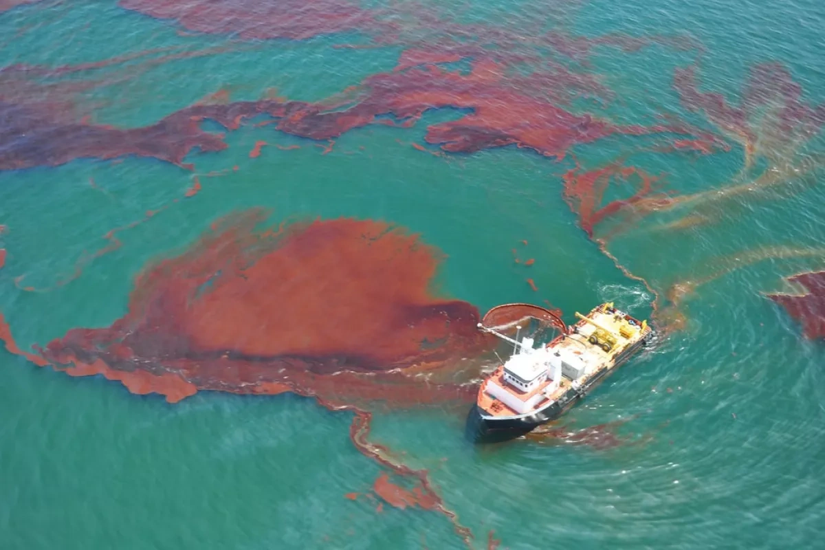 Massive oil spill in Gulf of Mexico devastates coastal fishing