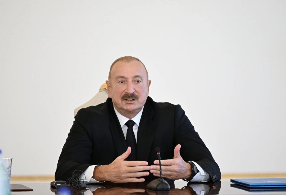Certain events taking place in today's world, particularly in the Muslim world, concern us all - President Ilham Aliyev