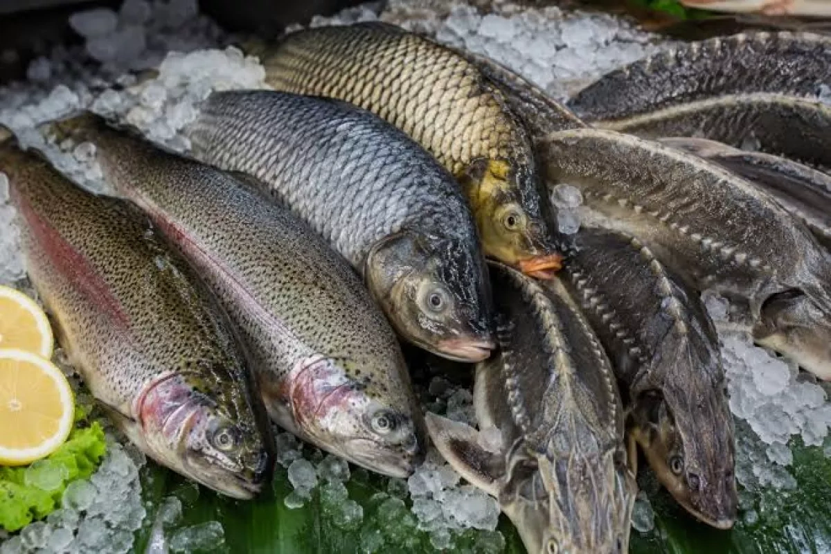 Armenia reaches deal to export fish products to Georgia