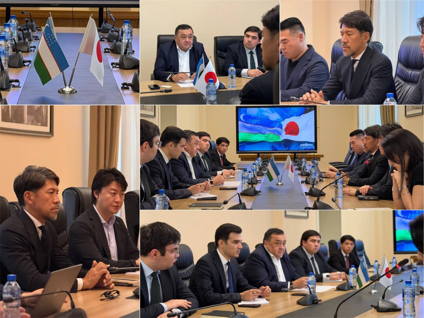 Uzbekistan discusses privatization, investment with Japan's Proud Partners