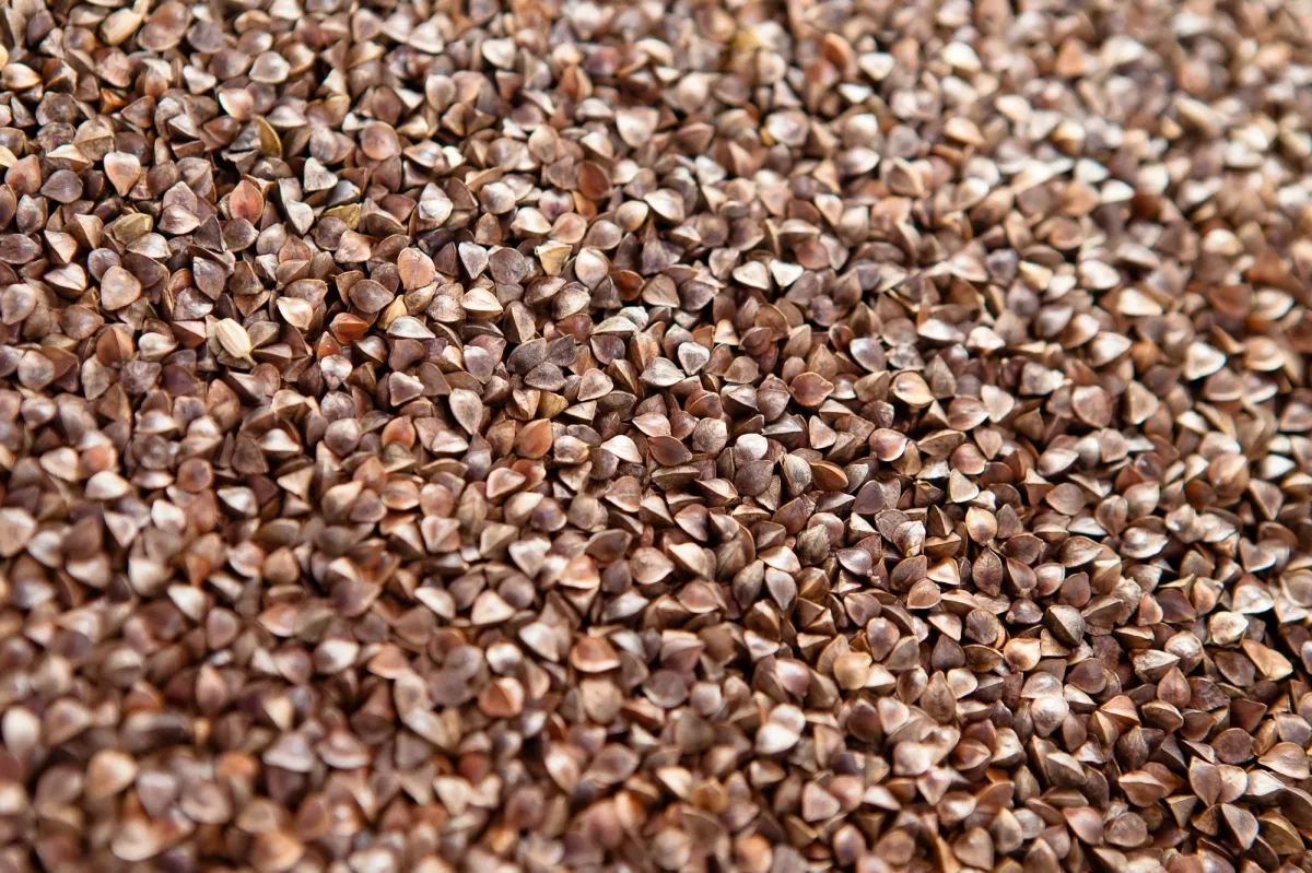 Armenia to receive fertiliser, buckwheat via Azerbaijani transit