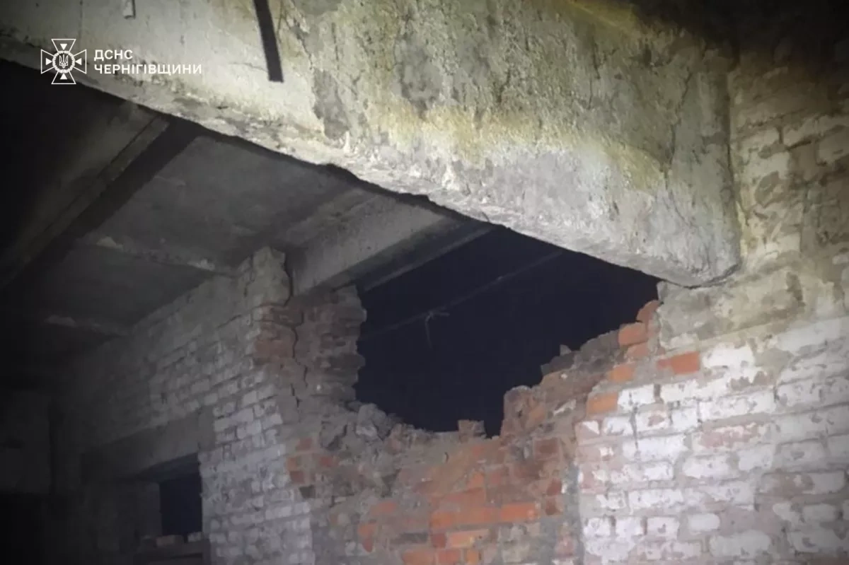Russian strikes on Kharkiv, Chernihiv regions: kill livestock, damage community centre Photo