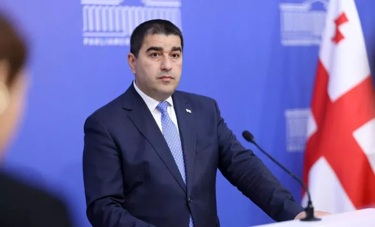 Georgian parliament speaker condemns EU criticism of Orthodox Church