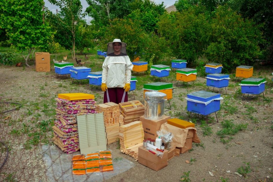 Initiated by Leyla Aliyeva, “Young beekeeper” project successfully implemented in Yevlakh district (PHOTO)
