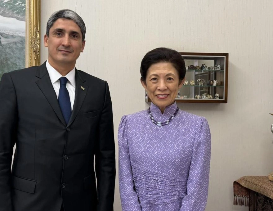 Turkmenistan, Japan discuss environmental protection and green energy