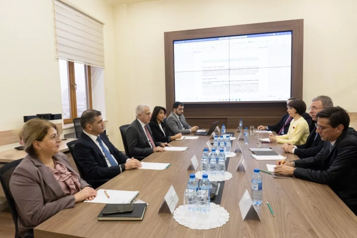 Azerbaijan, World Bank discuss AZURE renewable energy project