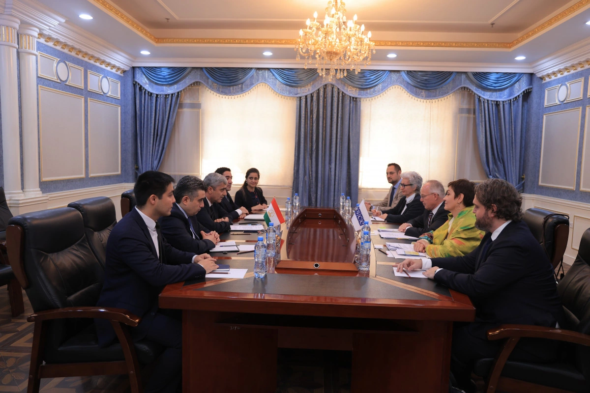 Tajikistan and OSCE discuss media and information security cooperation