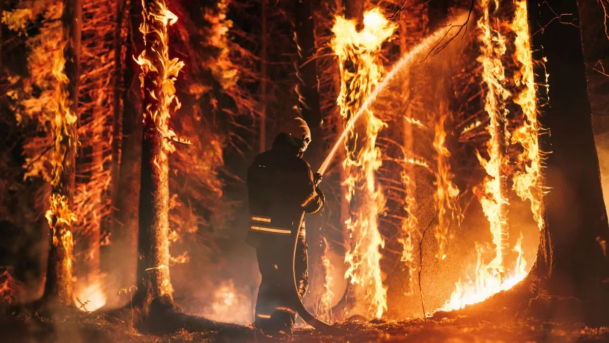 Wildfires awaken Europe’s buried WWII explosives