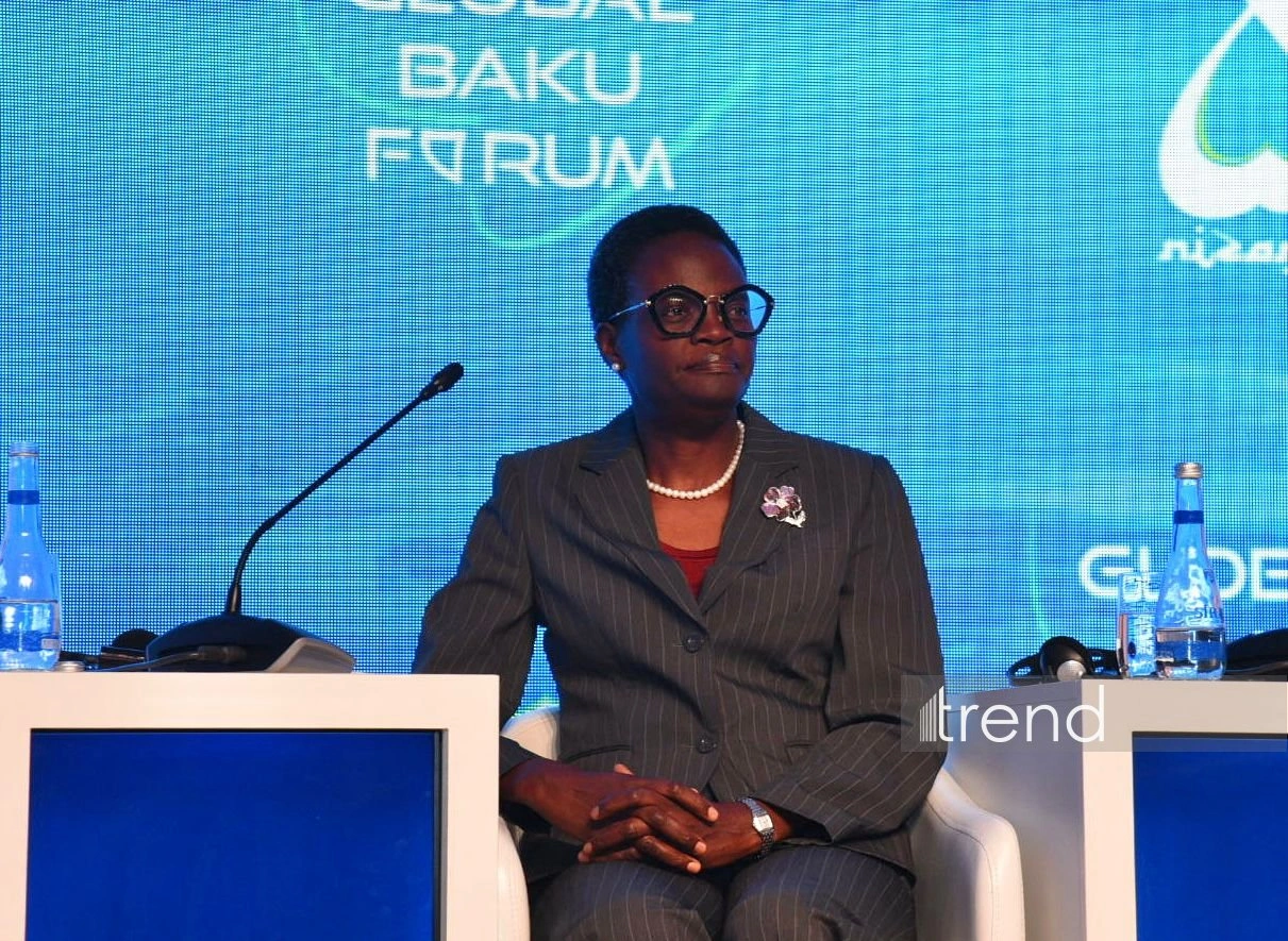 Transparency must accompany AI regulation - Inter-Parliamentary Union President