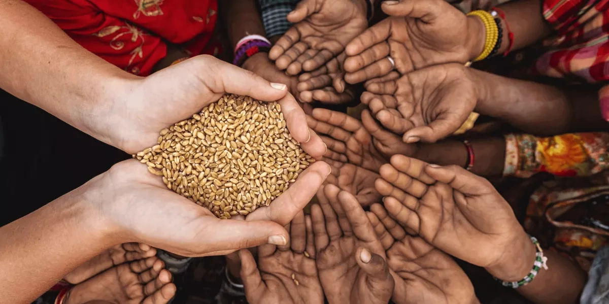 East Africa faces deepening food crisis as millions go hungry