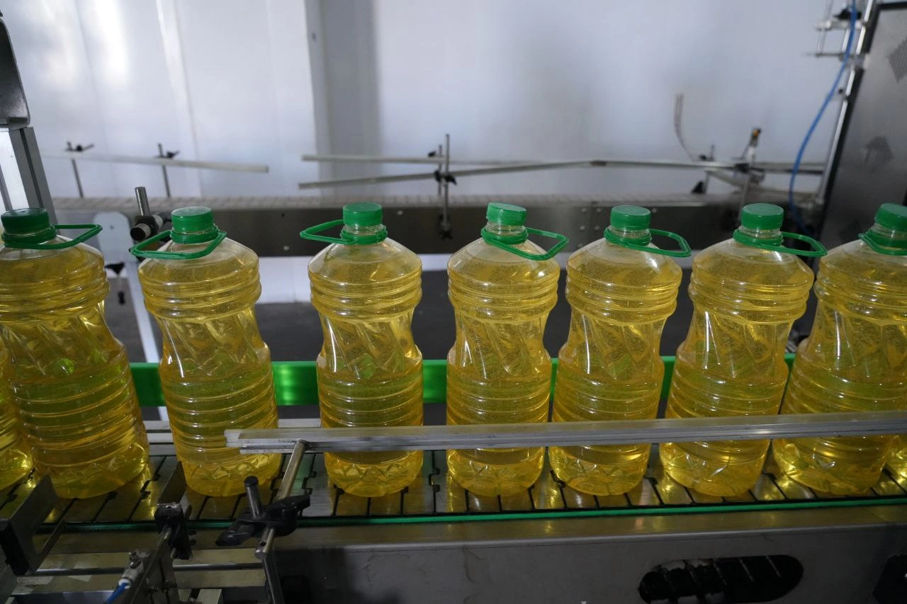 Kyrgyzstan’s breeding plant launches safflower oil production