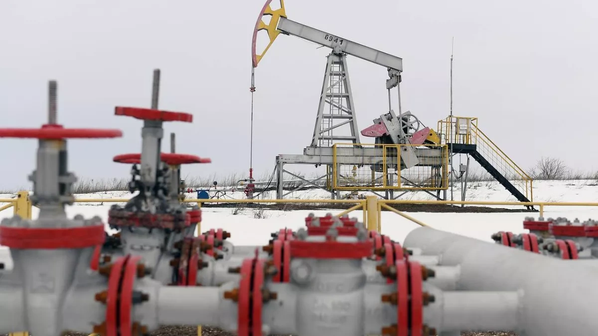 Georgia becomes heavily dependent on Russian oil amid soaring imports