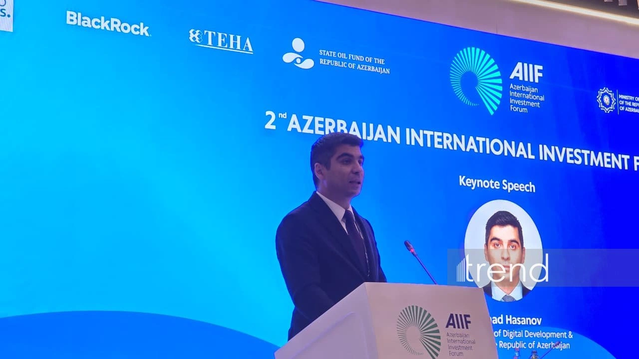 Azerbaijan possesses strong potential for dev't of AI and digital services – official