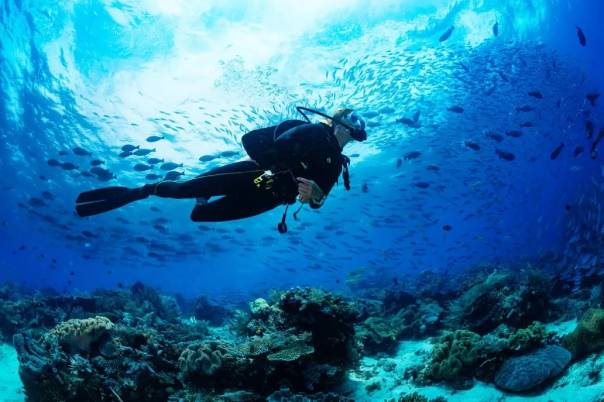 Five Italian divers die exploring underwater caves in Maldives PHOTO