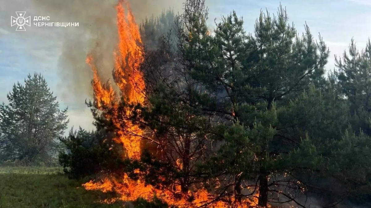 Drone crash sparks 7-hectare fire in Ukraine's Chernihiv region PHOTO