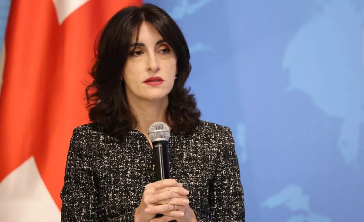 Georgian FM says remarks by EU foreign policy chief regrettable