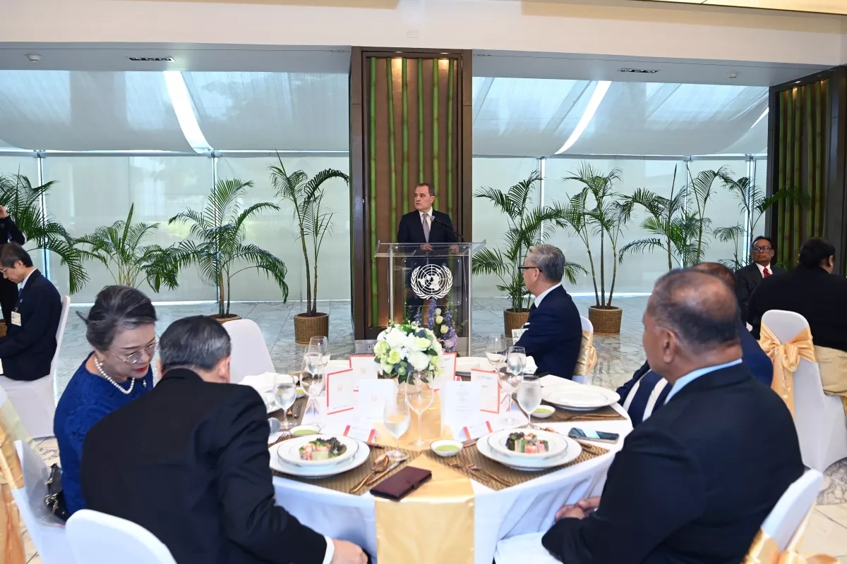 Azerbaijan’s FM takes part in UNESCAP ministerial dialogue PHOTO