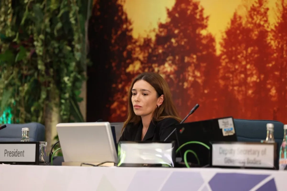 Georgian deputy minister re-elected vice-chair of UN environmental assembly