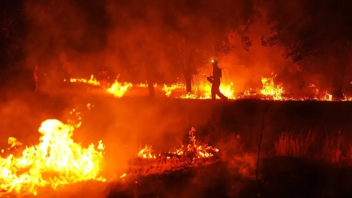 Spanish PM warns climate denial is fueling wildfire crisis in his country