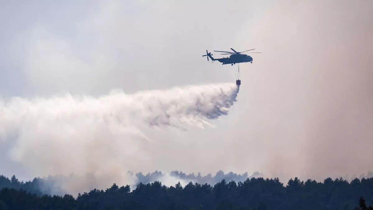 Forest fire spreads across former military training ground in Germany VIDEO