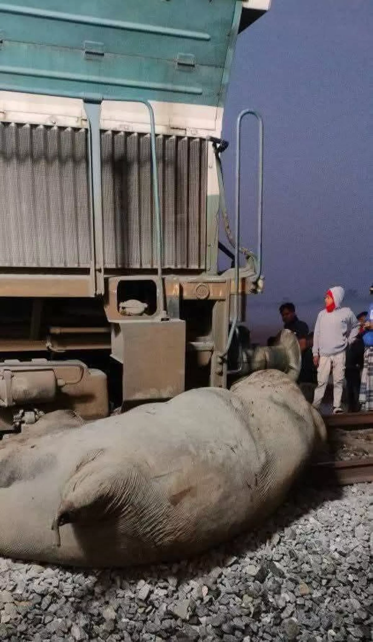 Train derails in India, after striking eight elephants PHOTO / VIDEO