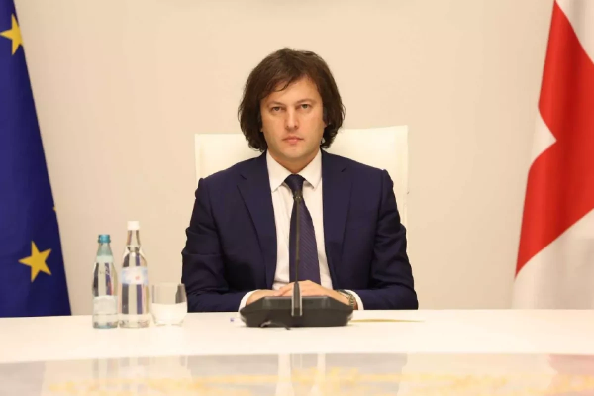 Georgian PM accuses EU of pressuring Tbilisi over laws