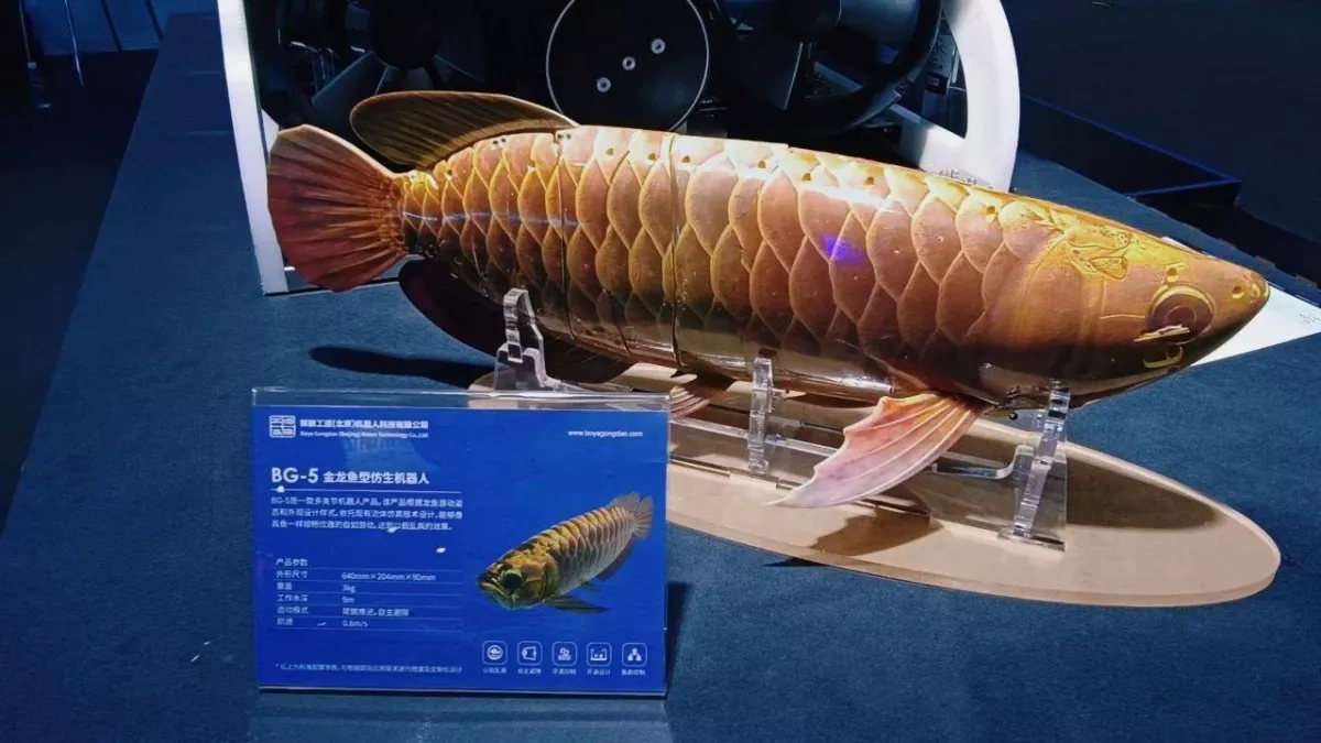 China unveils arapaima-shaped robot for underwater exploration VIDEO