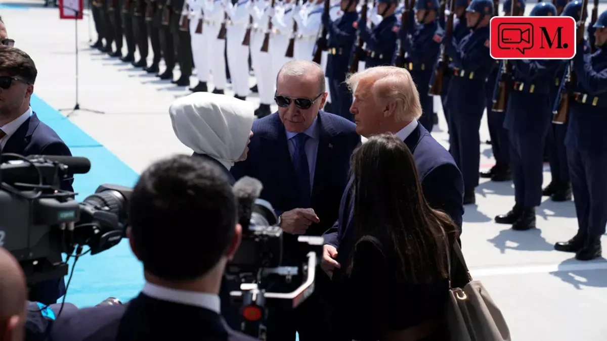 Erdogan personally welcomes Trump ahead of NATO summit in Ankara PHOTO/VIDEO
