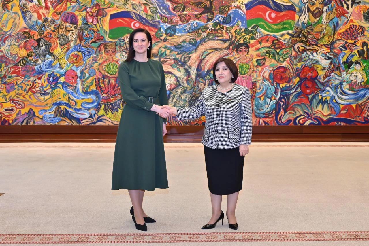 Azerbaijani and Lithuanian parliaments brainstorm enhancement of cooperation (PHOTO)