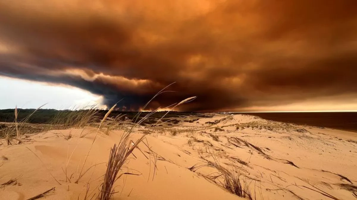Thousands evacuated from French Atlantic resort as wildfire risk intensifies