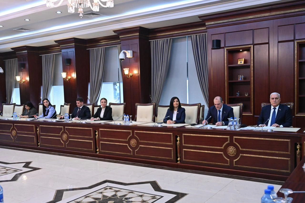 Azerbaijani Parliament's Human Rights Committee holds year's first meeting (PHOTO)