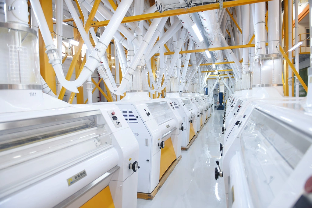 Tajikistan bolsters food security with high-capacity flour mill