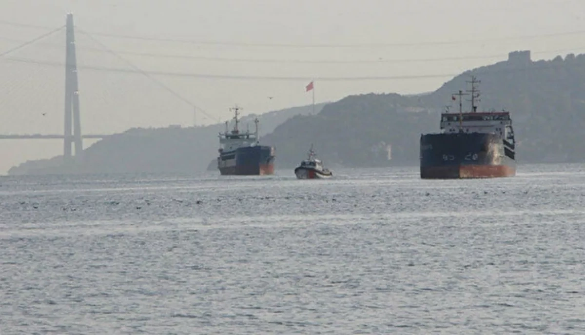 Container ship runs aground near villas in Bosphorus Turkish Coast Guard Command reports