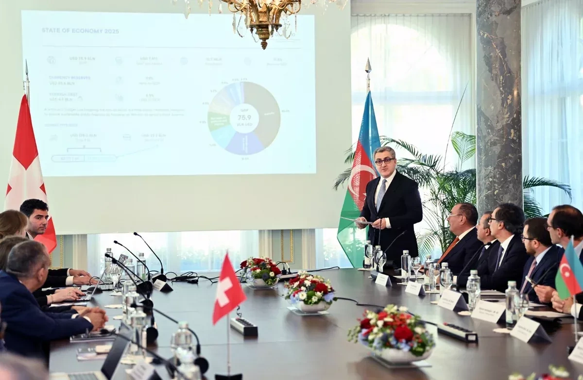 Azerbaijani minister presents investment opportunities to Swiss businesses PHOTO