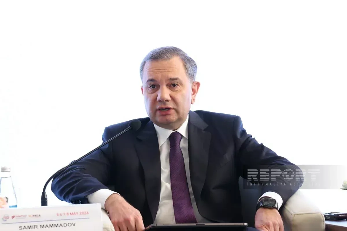 Azerbaijan plans major expansion in AI, data centre capacity—official