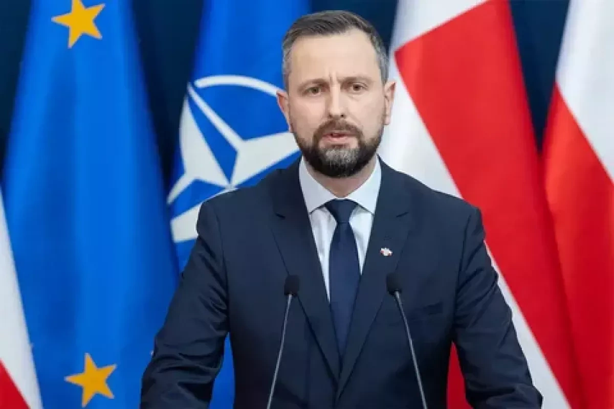 A future beyond NATO Analysis by Serhey Bohdan