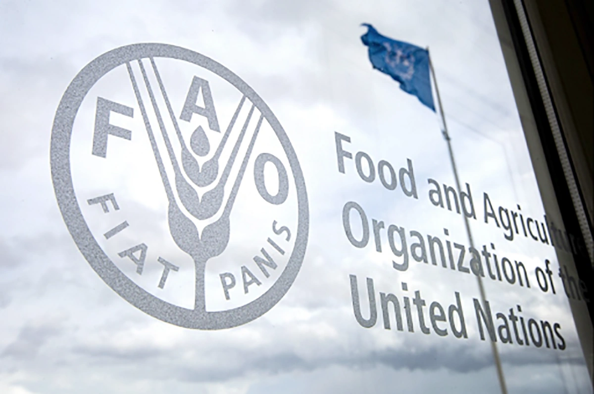 FAO, Turkmenistan sign cattle breeding development agreement