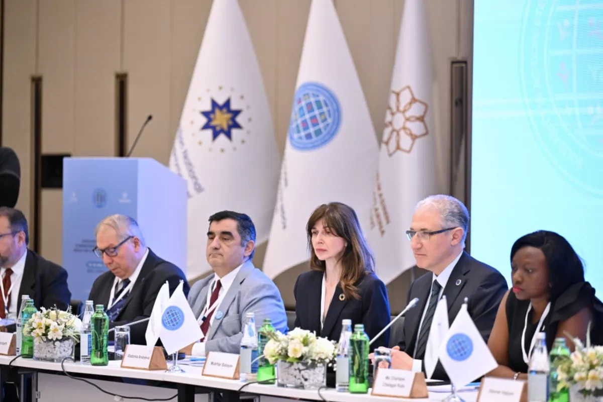 UN endorses Azerbaijan-led initiative linking NGOs across Global South PHOTO