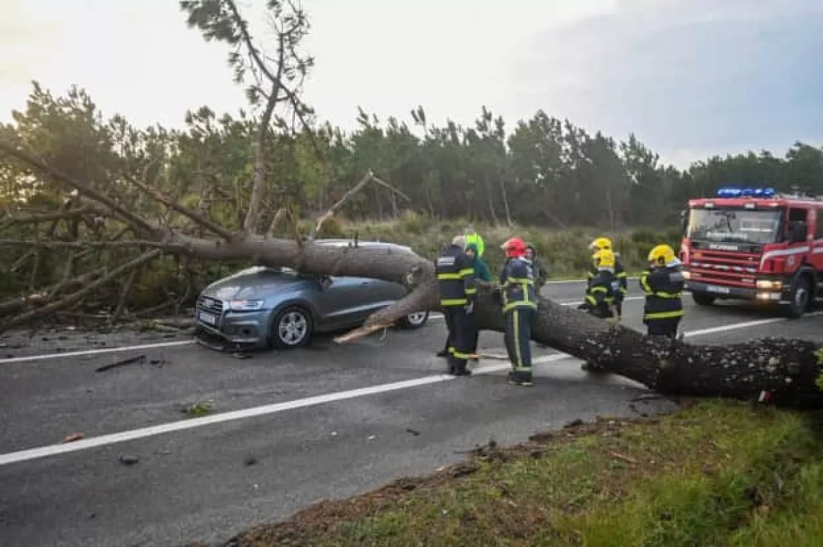 Storm Kristin hits Portugal, leaving five dead, thousands of incidents