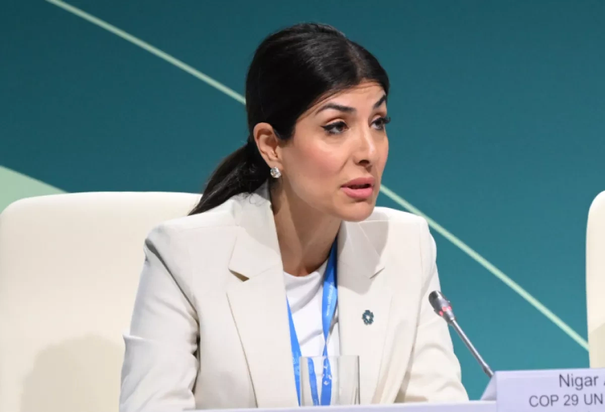 Azerbaijani MP: Climate action can help bridge divided world