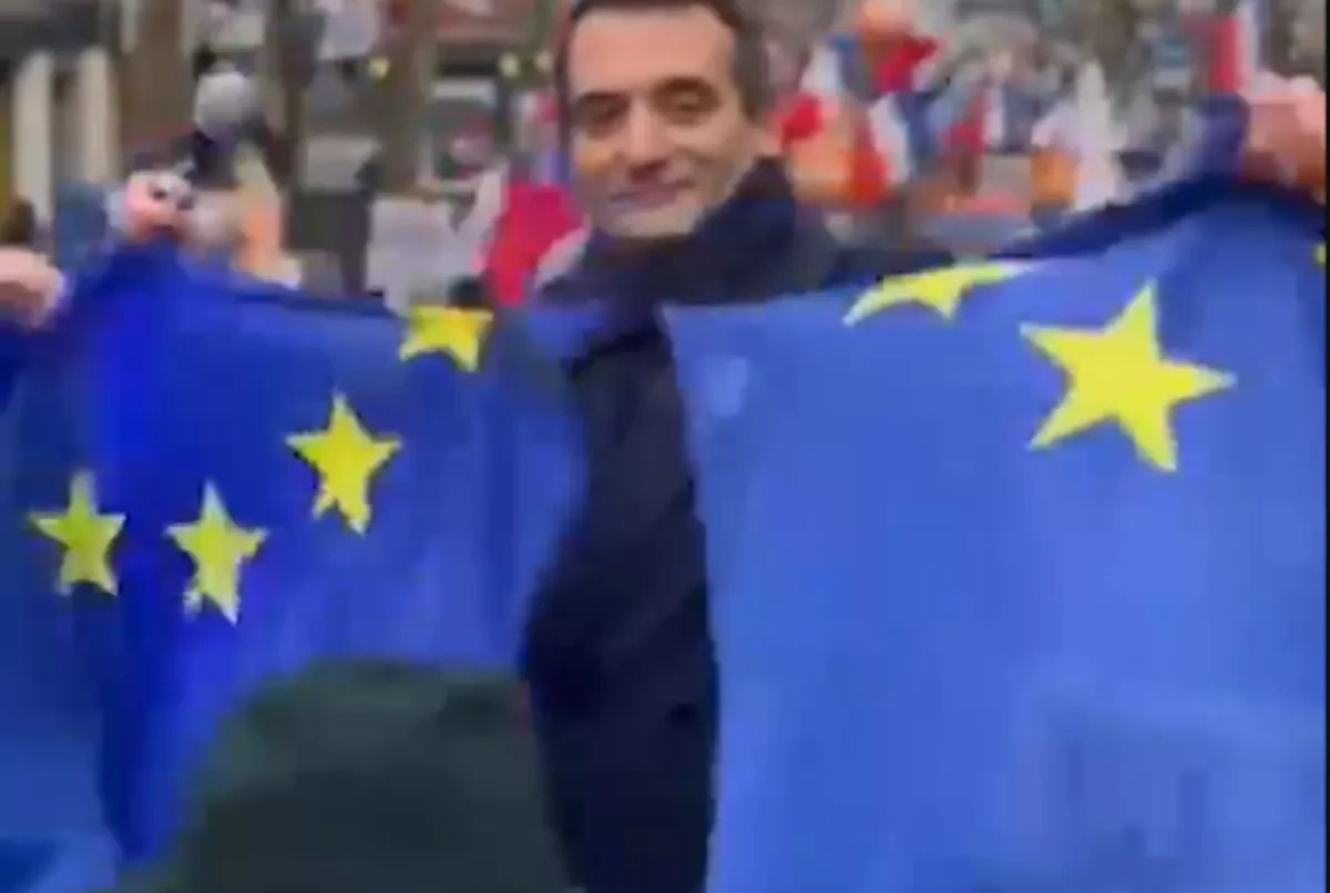 Demonstrators tear EU flag at anti-membership rally in Paris