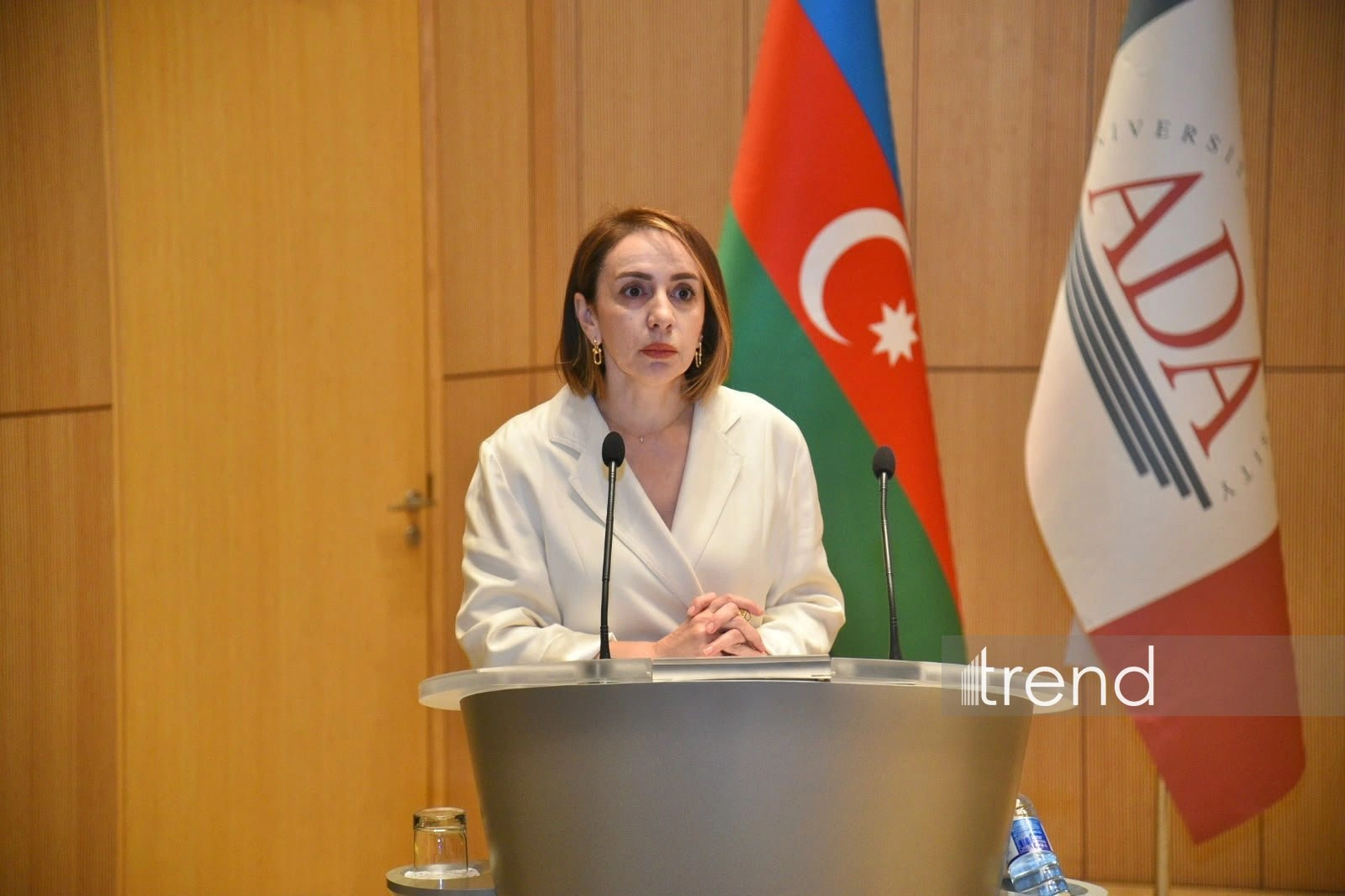 Education undergoes transformation amid development of AI - ADA Vice Rector